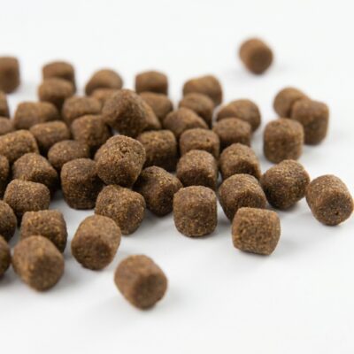 Hrană Câini Miel și Orez (Versele-Laga) – 20kg