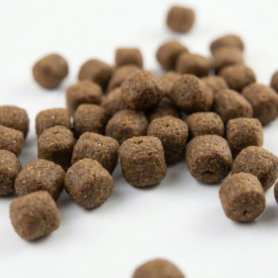 Hrană Câini Junior Opti Life Puppy Mini (Versele-Laga) – 2.5kg