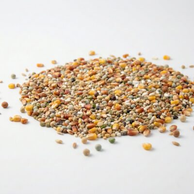 Hrană Porumbei Voiajori Versele-Laga Plus I.C.+ Sport (Champion) – Produse Porumbei de Top (20kg)