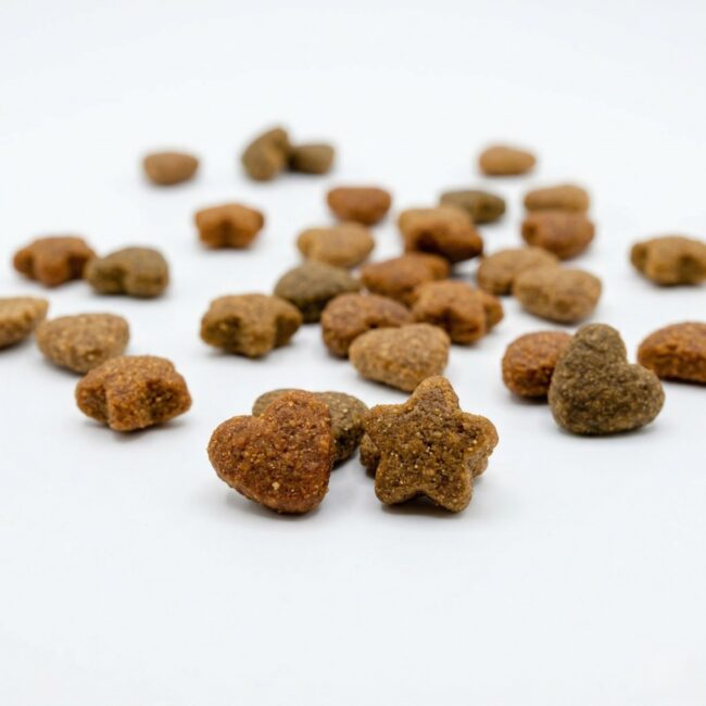 Hrana Caini Versele-Laga Happy Life Junior Pui