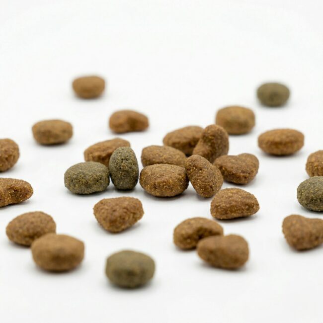 Hrana Caini Versele-Laga Happy Life Somon