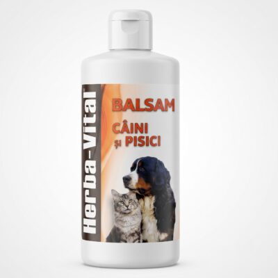balsam caini si pisici herba vital
