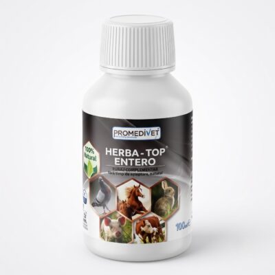 herba top entero