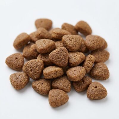 Royal Canin Regular Sterilised 37, Hrană Uscată pentru Pisici Sterilizate, 10 kg