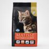 Matisse Neutered cu Somon 10 kg - hrană uscată pentru pisici sterilizate